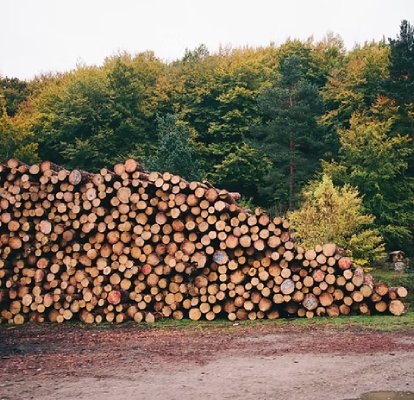 forestry